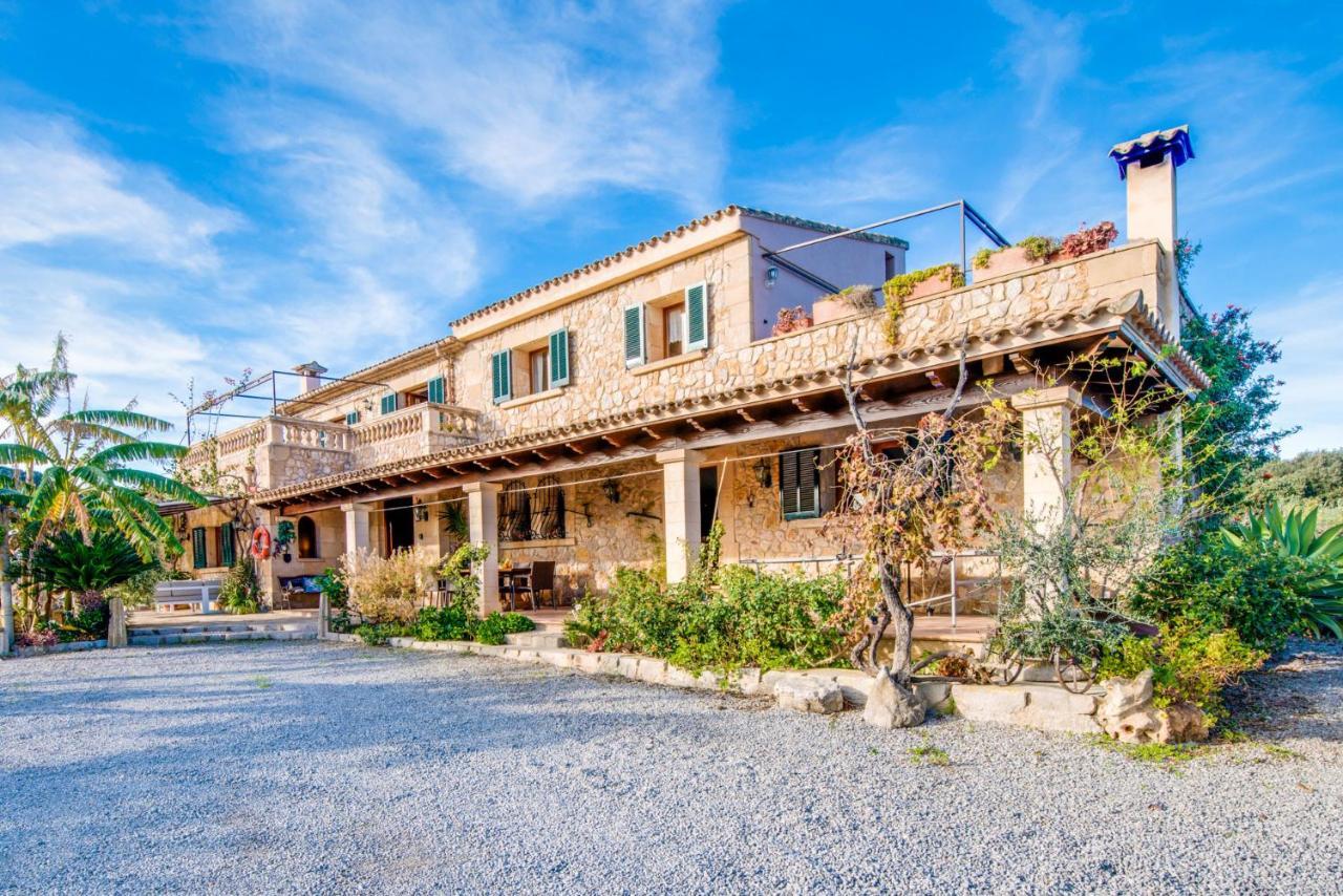 Ideal Mallorca - Carabassot *