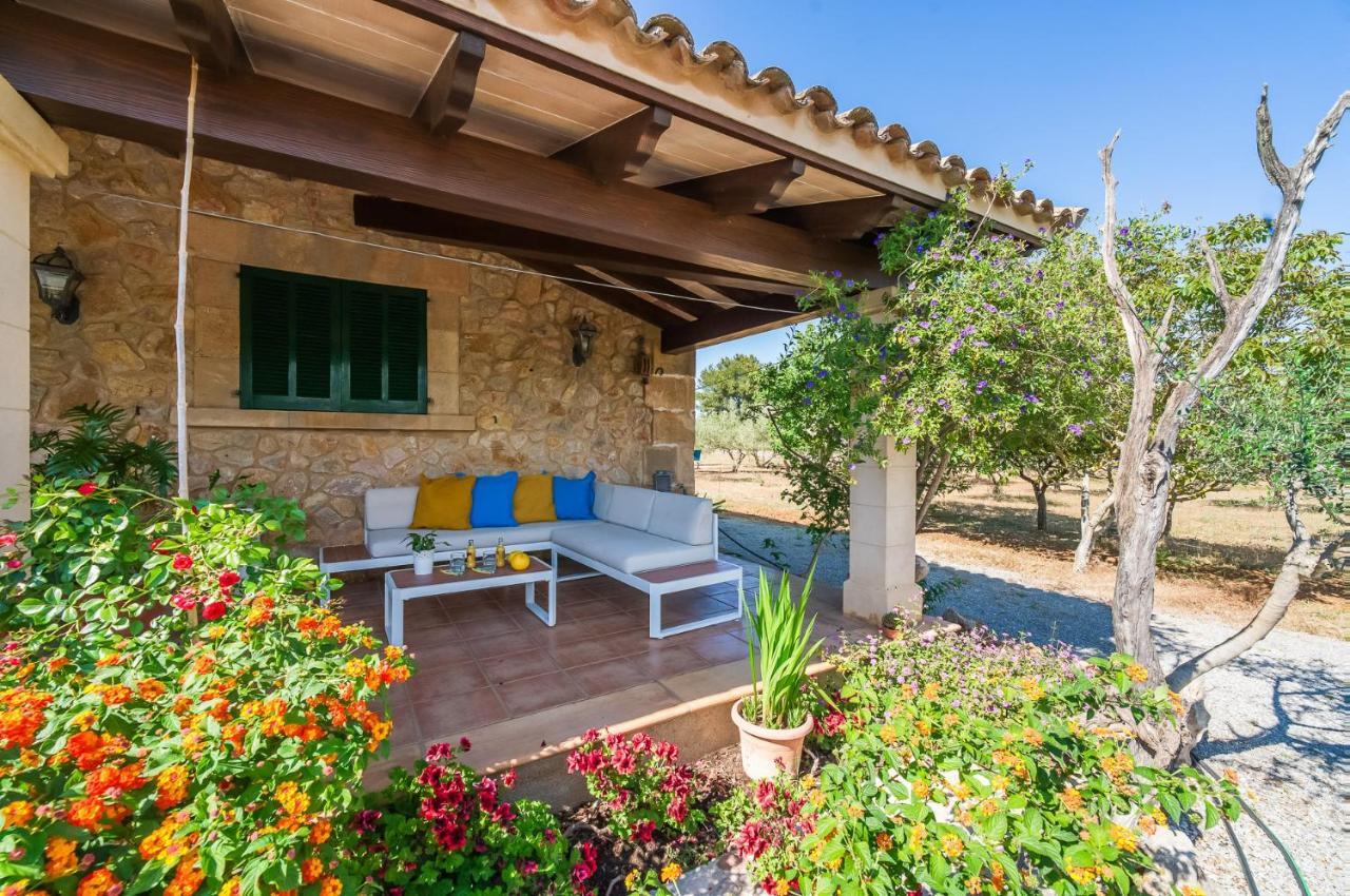 Ideal Mallorca - Carabassot *